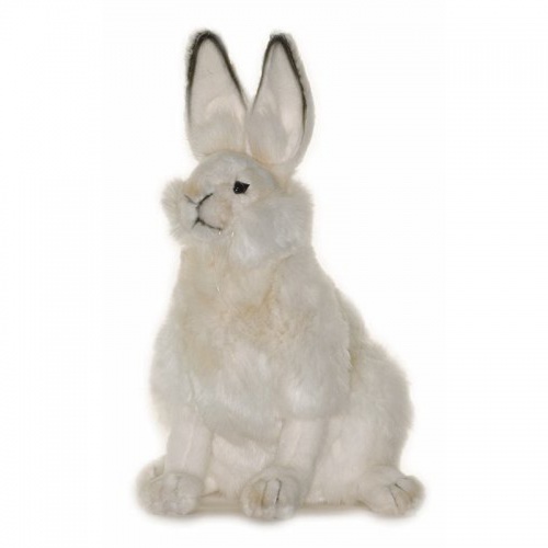 White Hare 27cm Realistic Soft Toy by Hansa